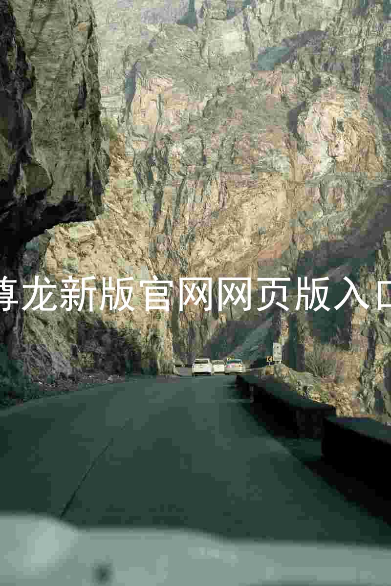 尊龙新版官网网页版入口
