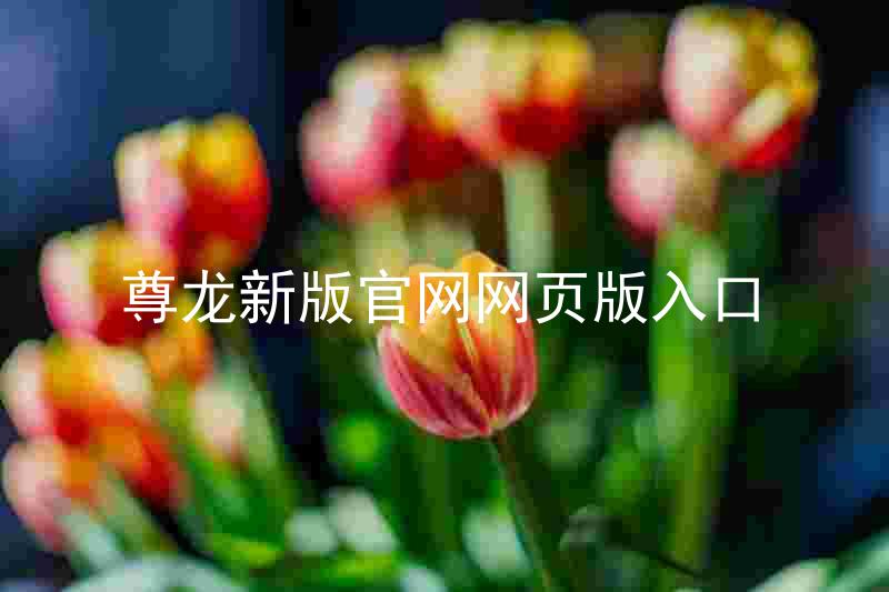 尊龙新版官网网页版入口