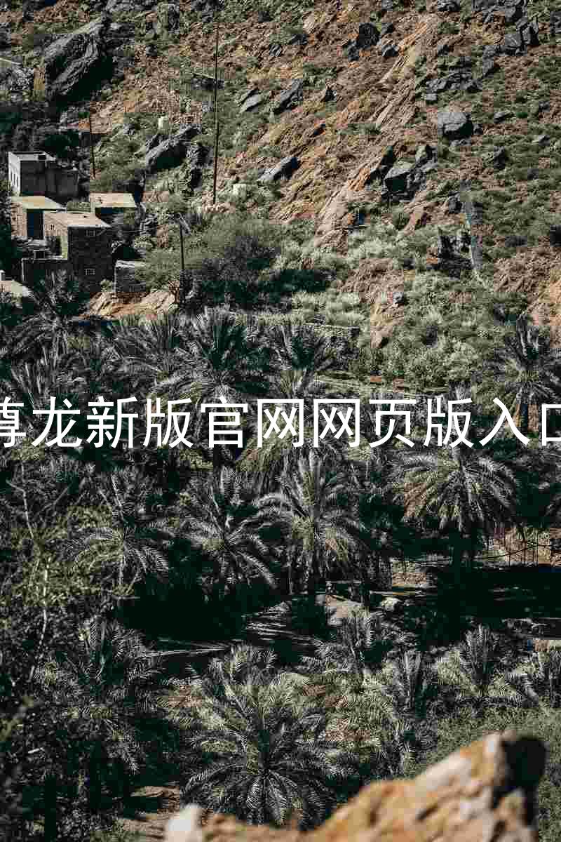 尊龙新版官网网页版入口