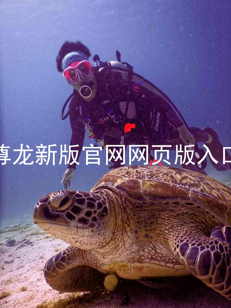 尊龙新版官网网页版入口