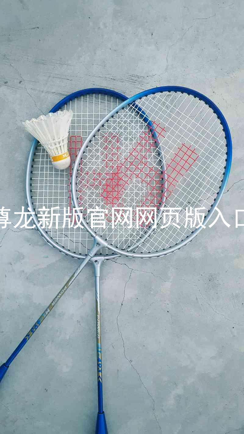 尊龙新版官网网页版入口