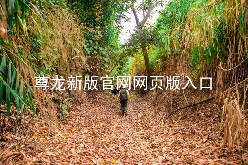 尊龙新版官网网页版入口