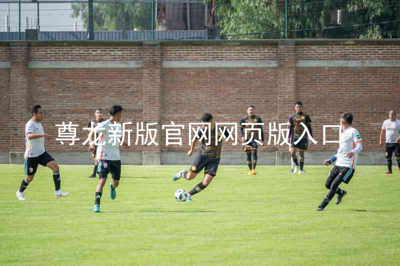尊龙新版官网网页版入口