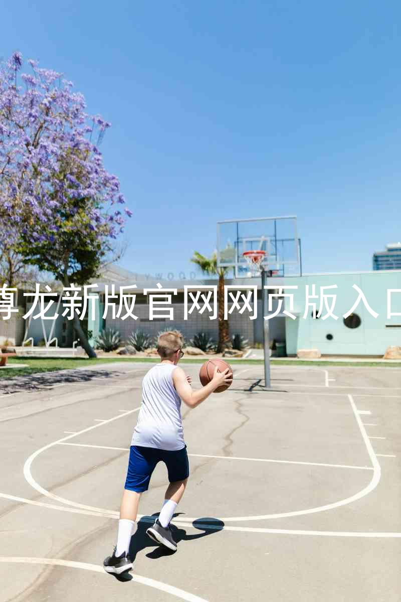 尊龙新版官网网页版入口