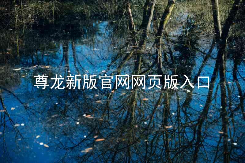 尊龙新版官网网页版入口